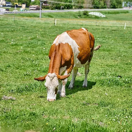 Apartment Katschbergblick 7