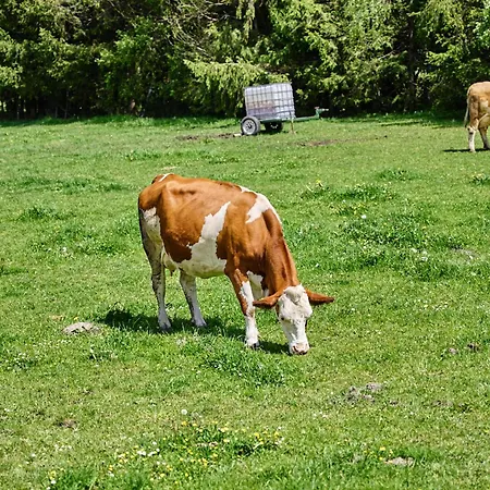 Katschbergblick 7 * Sankt Michael im Lungau