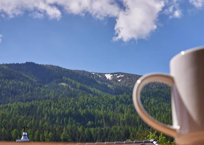 Katschbergblick 7 * Sankt Michael im Lungau