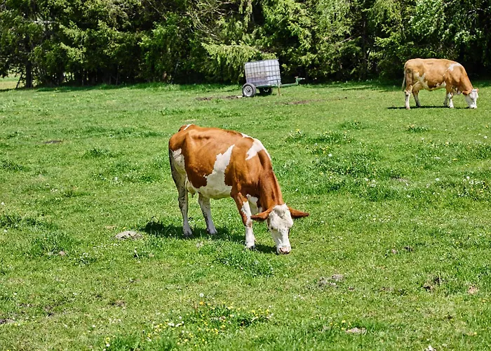 Katschbergblick 7 * Sankt Michael im Lungau